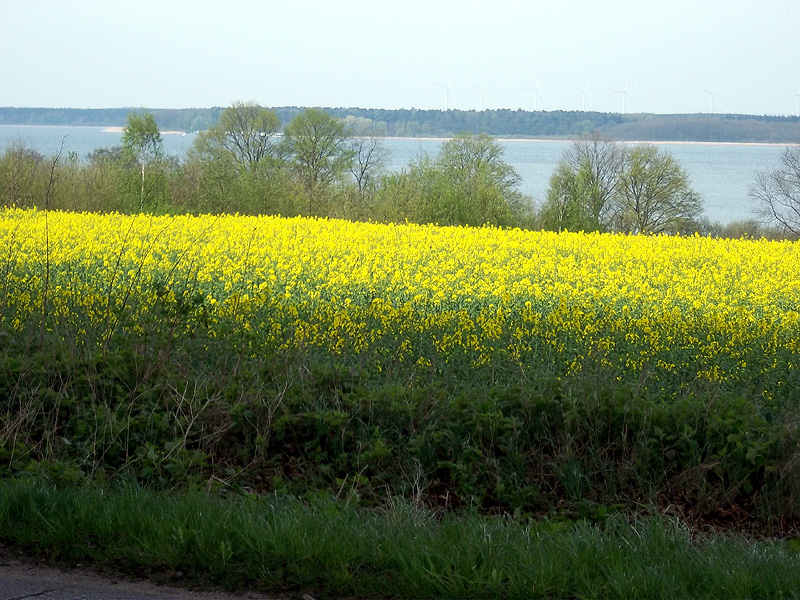 Hallo Welt!